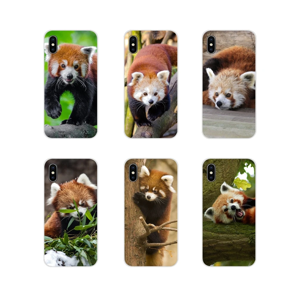 Red pandas Art Accessories Phone Cases Covers For Xiaomi Mi6 A1 5X 6X Redmi Note 5 5A 4X 4A 4 3 Plus Pro pocophone F1 | Мобильные