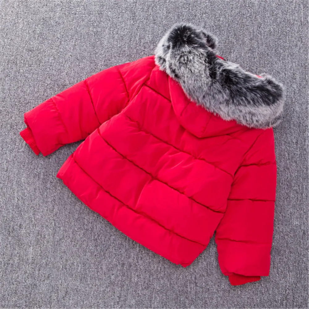 GC0034706 (2)