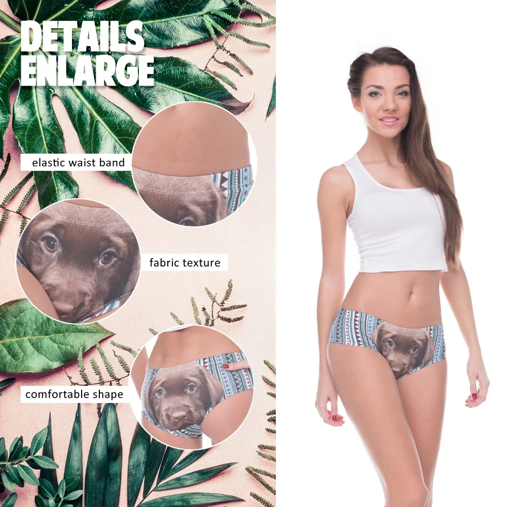 39407 brown puppy aztec (2)