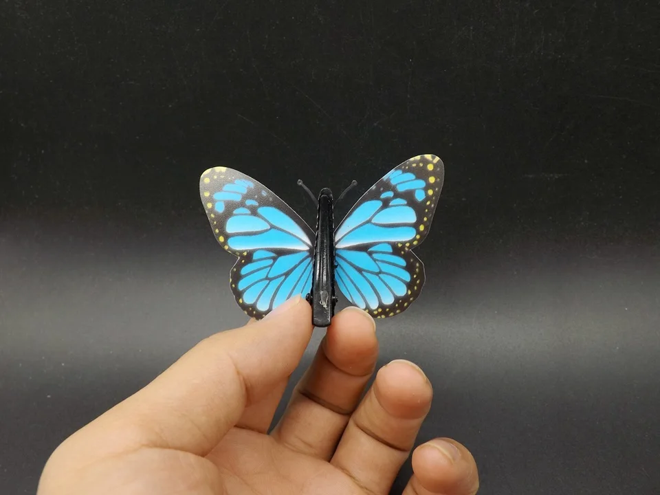 I282-Butterfly (4)