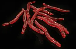 YINGTOUMAN 50 шт./лот 3,5 см мягкие красные Worm поддельные Earthworm дорога Азии рыбалки пресноводной рыбалки Морская рыбалка платформа Рыбалка