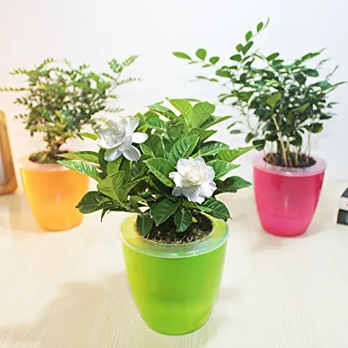 Mkono 3pcs Self Watering Pot Automatic Planter Plant Flower Pots For Mkono 3pcs Self Watering Pot Automatic Planter Plant Flower Pots For Garden Office Home Decoration Table Floor Use Random Color In Planters