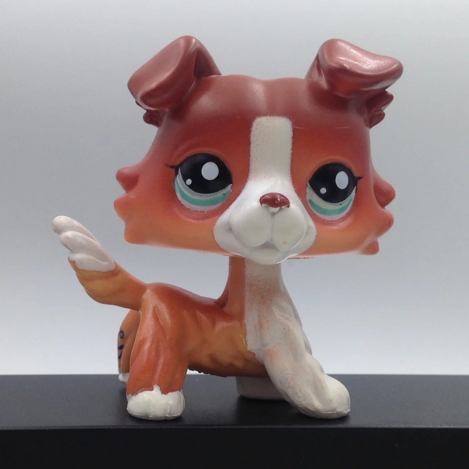 Картинки лпс колли