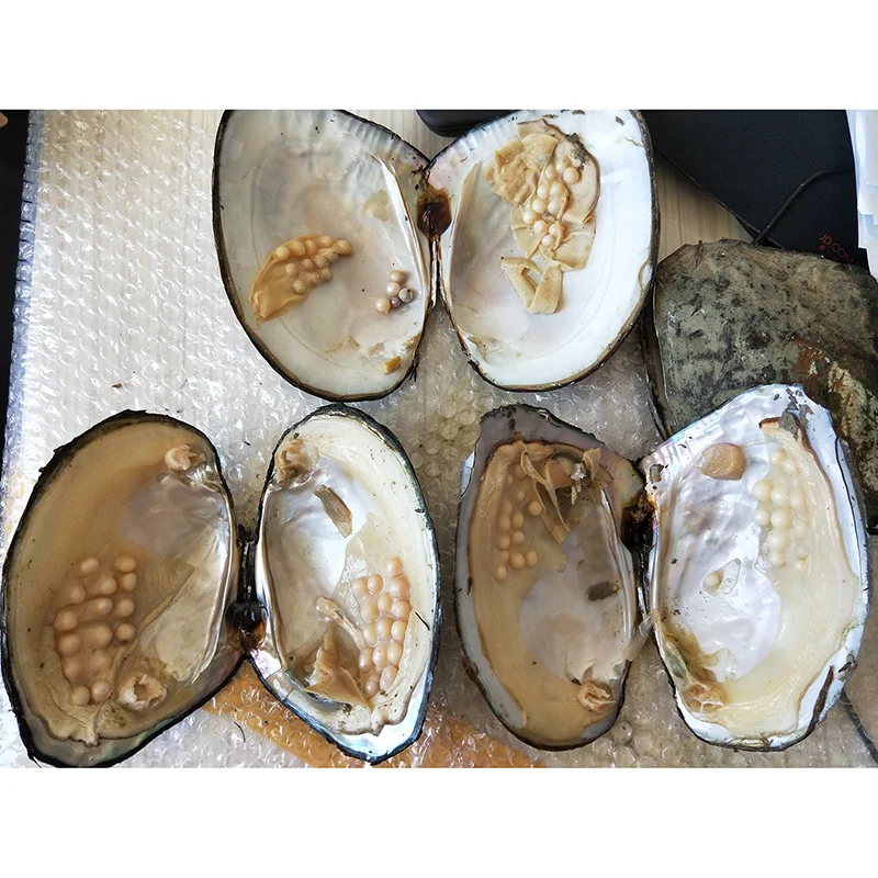 100% натуральный настоящий жемчуг в Oyster Monster ювелирное изделие Подарочная оболочка