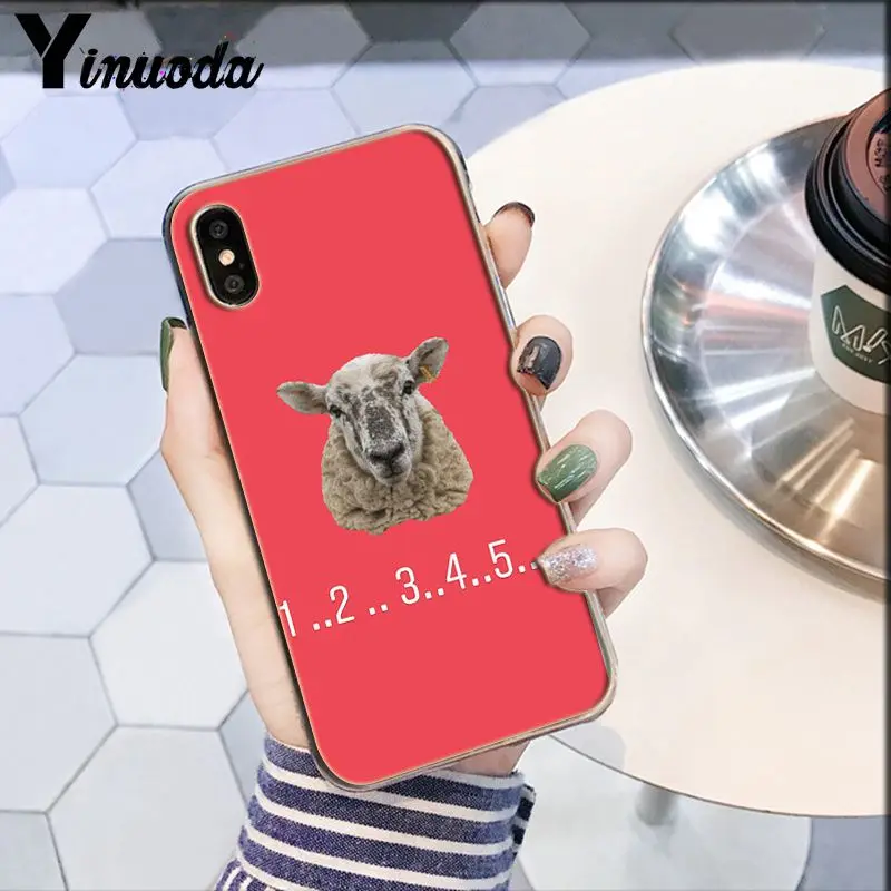 Darcy hedgehog Sheep