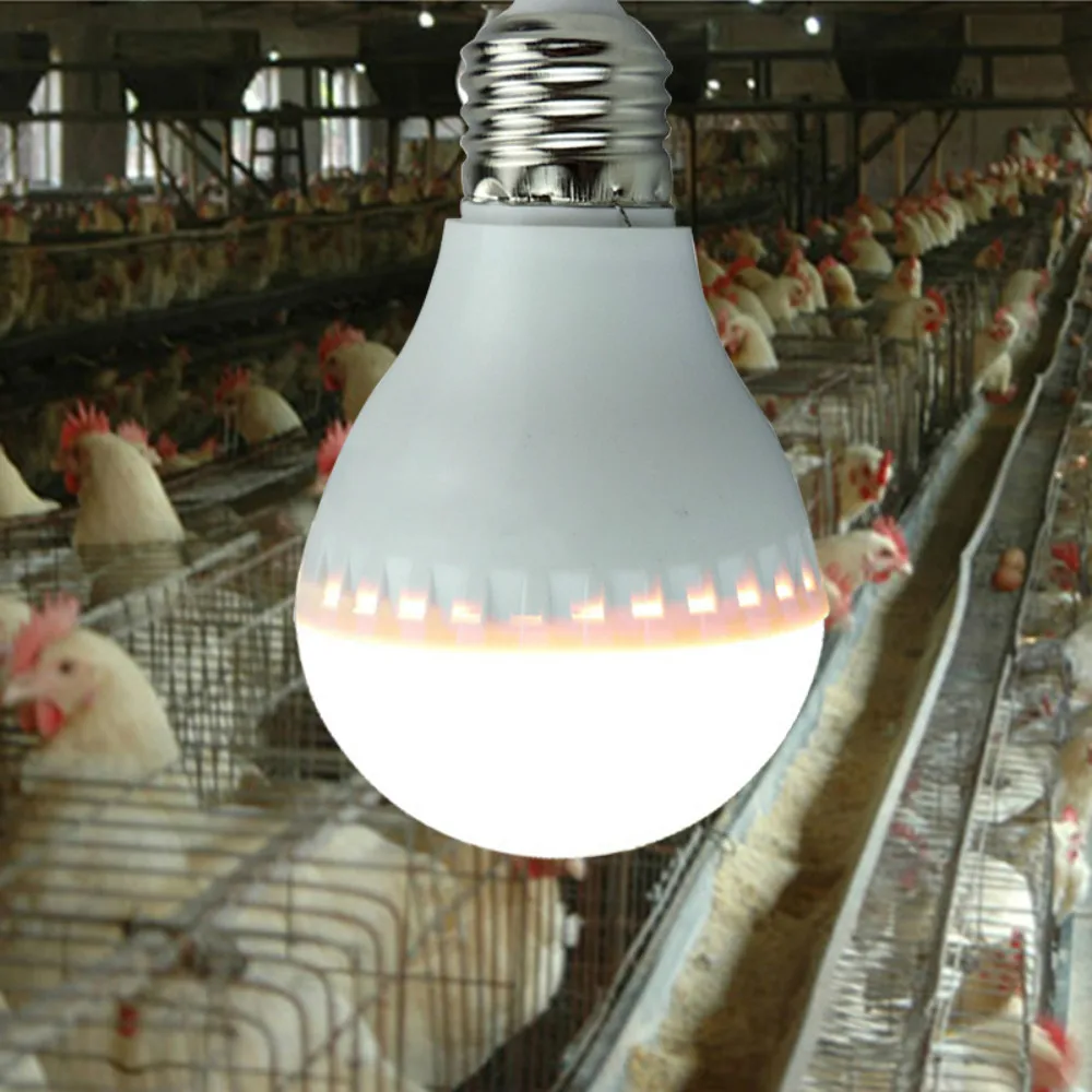 1PC special LED light bulb energy saving lamp chicken house lighting