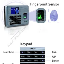 Zk TX628 перфоратор карты и отпечаток пальца времени посещаемости терминал посещаемости сотрудников с бесплатным программным обеспечением