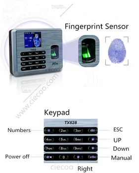 

Zk TX628 Punch Card and Fingerprint Time Attendance Employee Attendance Terminal With Free Software
