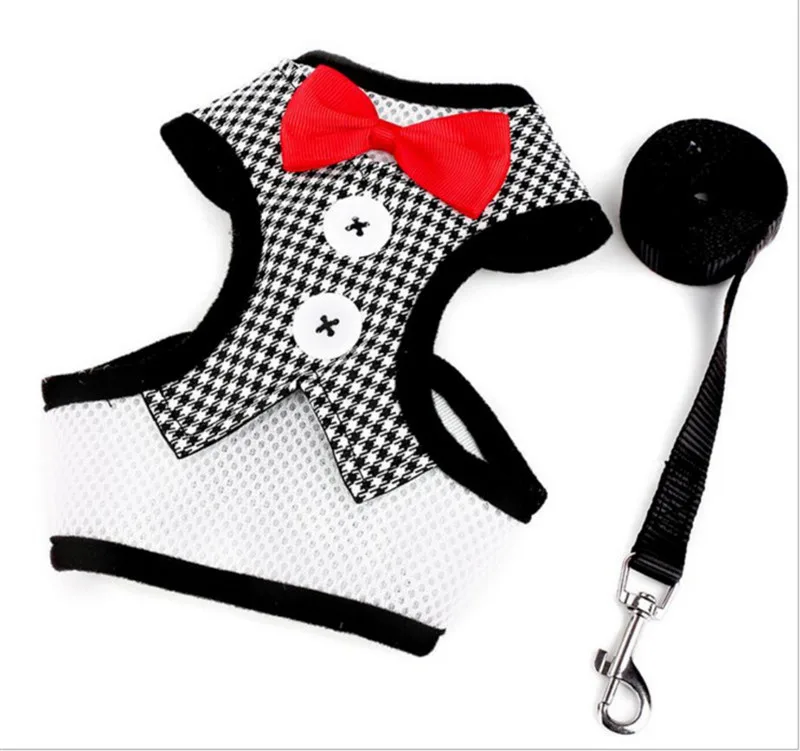 leash for dog (20)