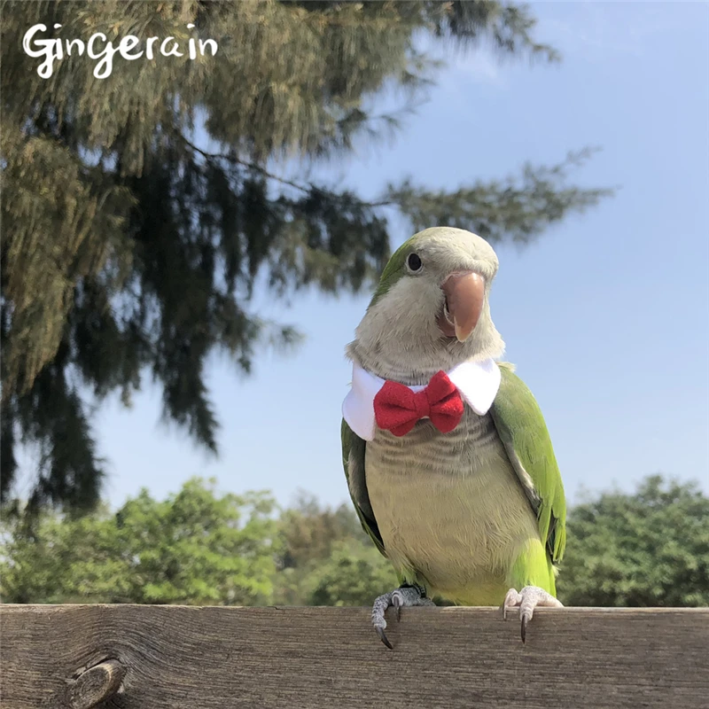 Gingerain одежда с птицами попугай маленький галстук оригинальный ручной работы на