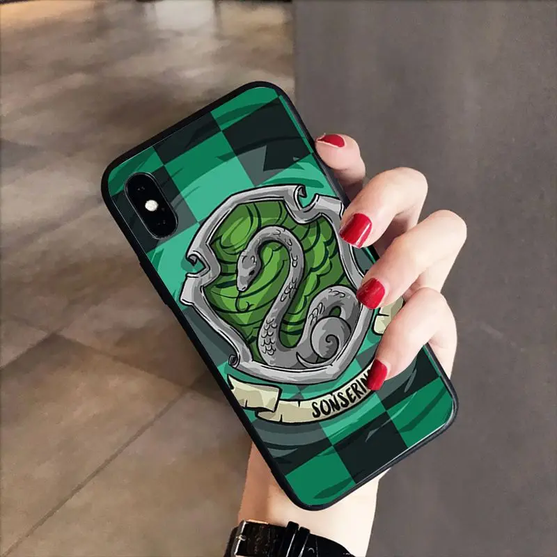 Harry Potter always Slytherin School