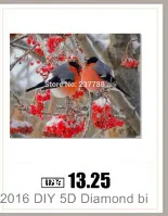 AeProduct.getSubject ()