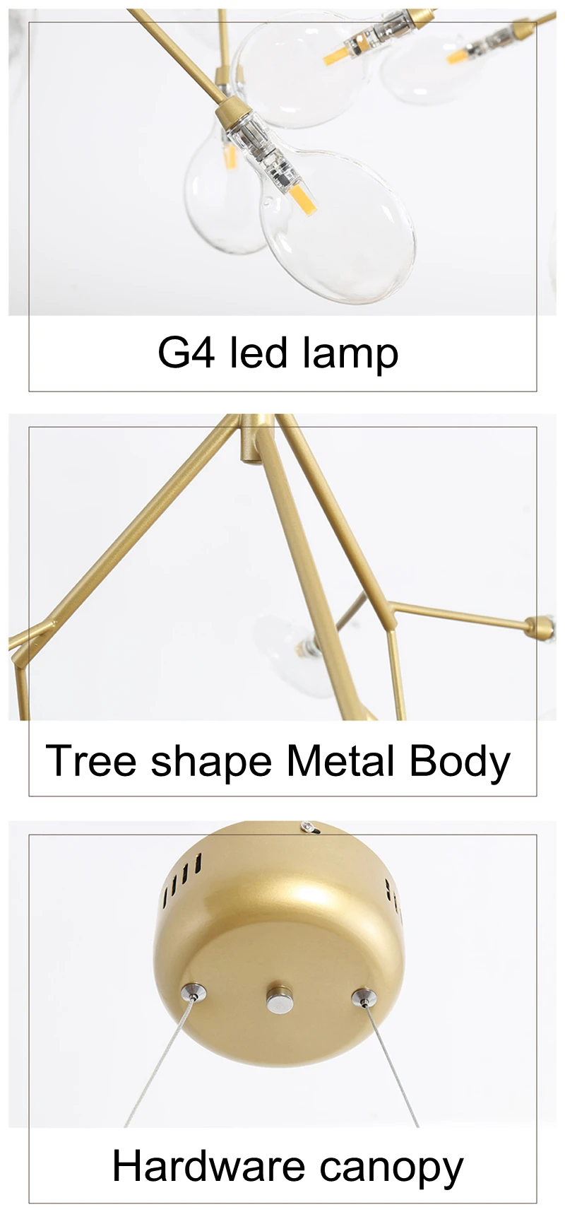 Z (6)