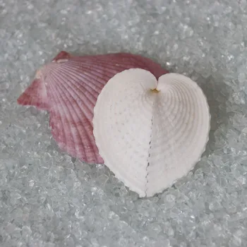 

Free Shipping(10pcs/lot)Love Heart Clam Natural Shell&Conch Home Decoration Aquarium Landscaping Valentine's Day Gift