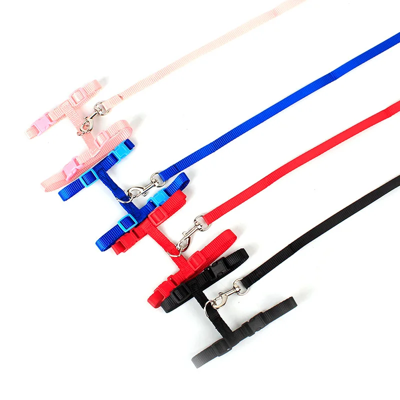 3724011158_1118210482