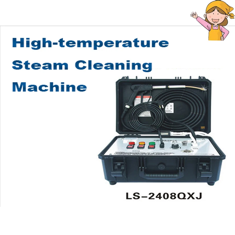 High Temperature Car Steam Cleaner Air Conditioner Cleaning Machine Portable Household High Efficiency Steam Cleaner