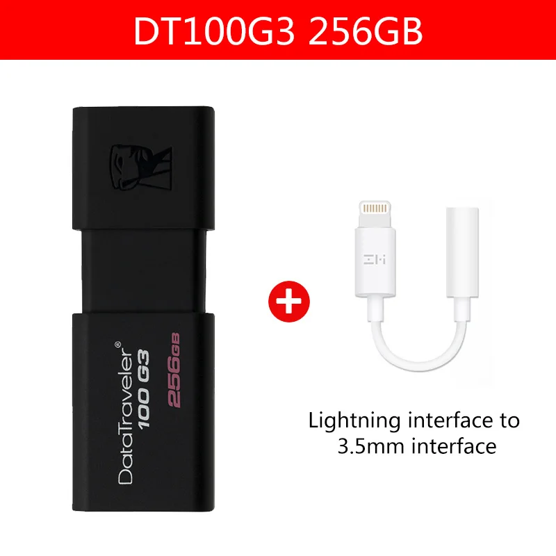 Kingston DataTraveler 100 G3 USB флеш-накопители 1256 ГБ USB 3,0 флеш-накопитель высокоскоростные флешки DT100G3 256 ГБ - Цвет: 256GB-ZM-05