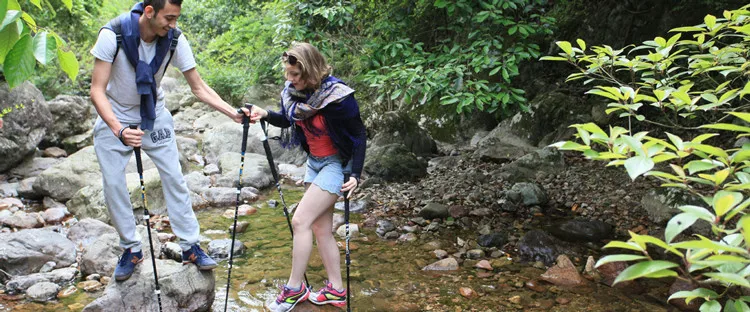 Fibra de Carbono de Alumínio de Escalada de Acampamento Lote Pioneiro Bloqueio Externo Ajustável Caminhadas Bengala Pólo Trekking Caminhada Cana 2 Pçs - 3 Esporte e Lazer