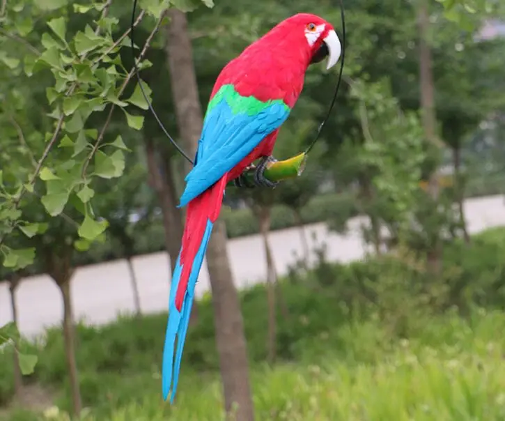 new creative simulation turned parrot model foam&furs big red&blue parrot bird toy gift about 60cm 3021