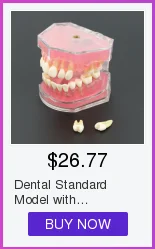 dental com dentes modelo padrão removíveis 4004 01 estudo dental ensine teeth modelo 23 Cheap Modelo de Ensino Dental