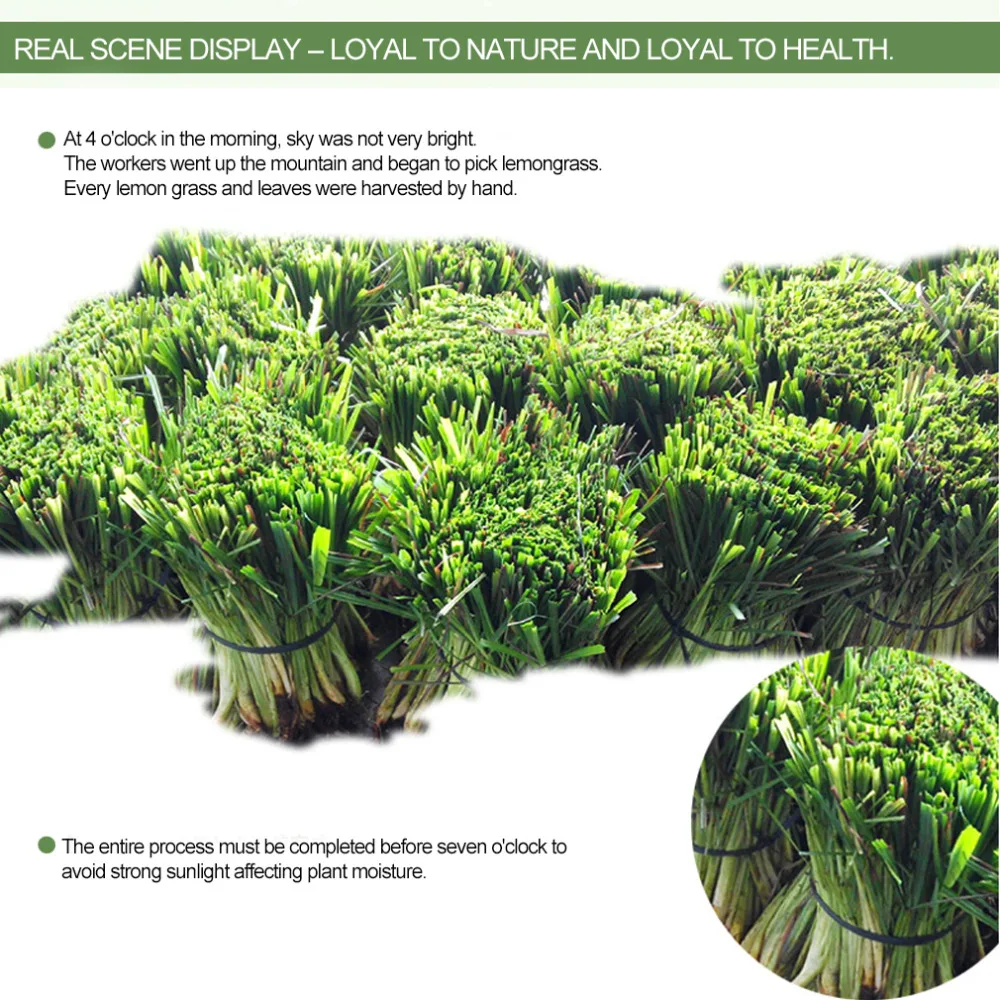Lemongrass essential oil (3)