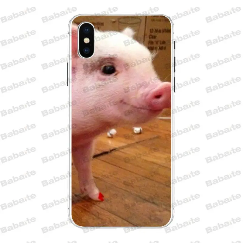 Babaite мини питомец свинья Маленькая свинья милый розовый поросенок чехол для телефона для iPhone 8 7 6 6S Plus X Xs Xr XsMax 5 5S SE 5C Cover11 11pro 11promax