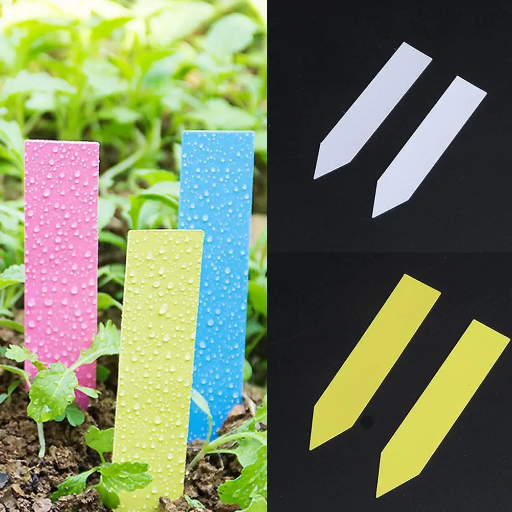 

Plants Hang Tag Labels Markers Plastic Stake Tags Yard Court Nursery Seed Label Plastic Tags Sign Classification Tools 100 pcs