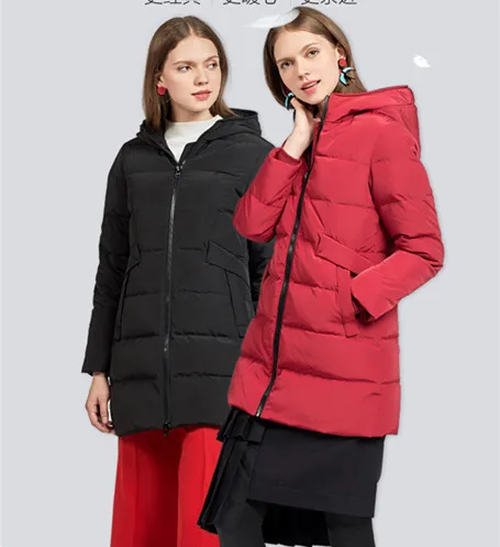 Down Jacket Women's Winter Parkas Long Down Coat 2018 Ladies Grey Duck Down Jacket Solid Hooded Coats Plus Size LZ961 (8)