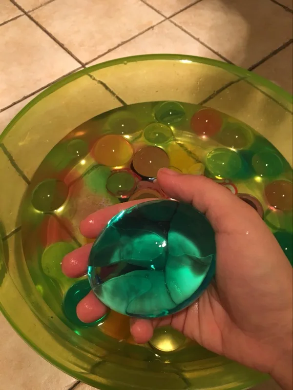 4112961579_1240686921
