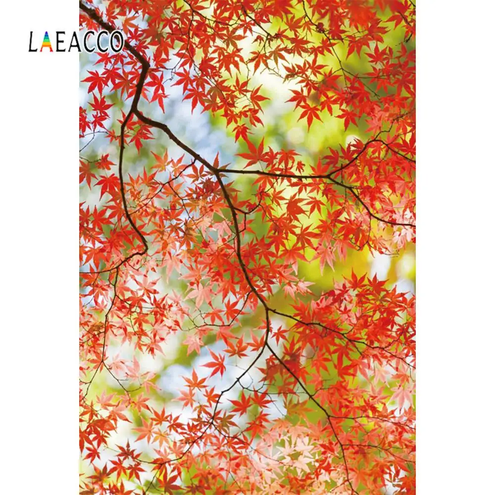 

Laeacco Autumn Tree Leaves Maples Forest Pattern Scenic Photography Background Photo Backdrops Photocall Photo Studio