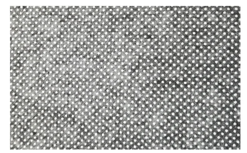 8621920260_591419584