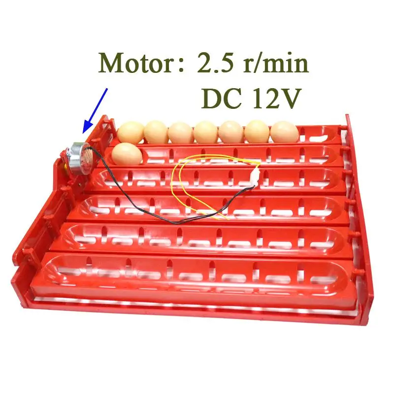 48-60 яиц автоматический инкубатор поворот яиц лоток курица утка гусь птица птицы принадлежности для инкубаторов инкубационное оборудование - Цвет: DC12V
