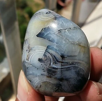 

xd j00814 Beautiful NATURAL Aquatic plants AGATE CRYSTAL Mineral Specimen