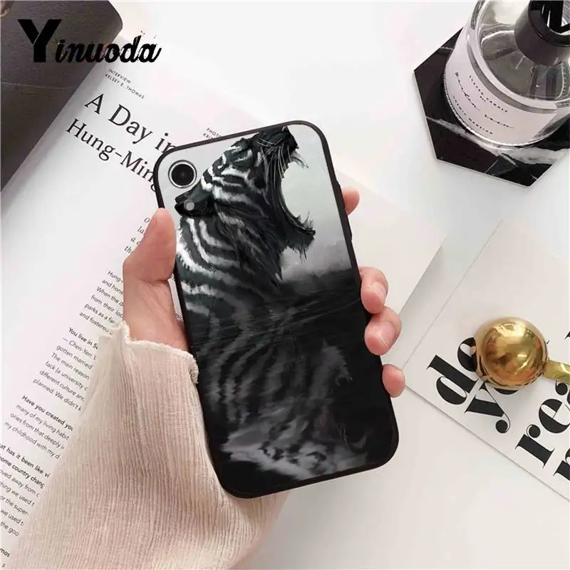 Cool Tiger Owl Cat Cartoon
