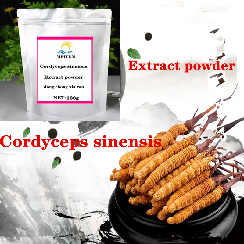 

Pure Cordyceps sinensis extract powder, Cordyceps sinensis mycelium polysaccharide, Cordyceps sinensis powder, good quality