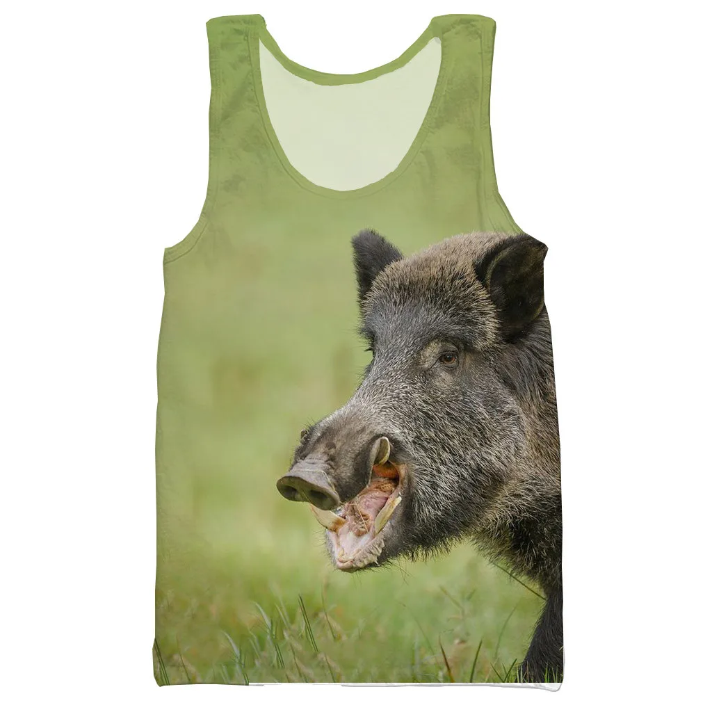 Мексиканский глазоух. Необычные зебры. Мадагаскарский глазоух. Животные на английском языке. Самые необычные животные.