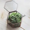 Mini Hexagon Geometric Wedding Ring Box Ring Bearer Box Tabletop Succulent Plants Planter Wedding Decoration 5