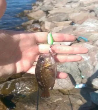 Маленькая рыболовная приманка 2,8 см 2,5 г цветная рыболовная блесна ложка рыболовная приманка металлическая VIB приманка рыболовная приманка для форели isca искусственная