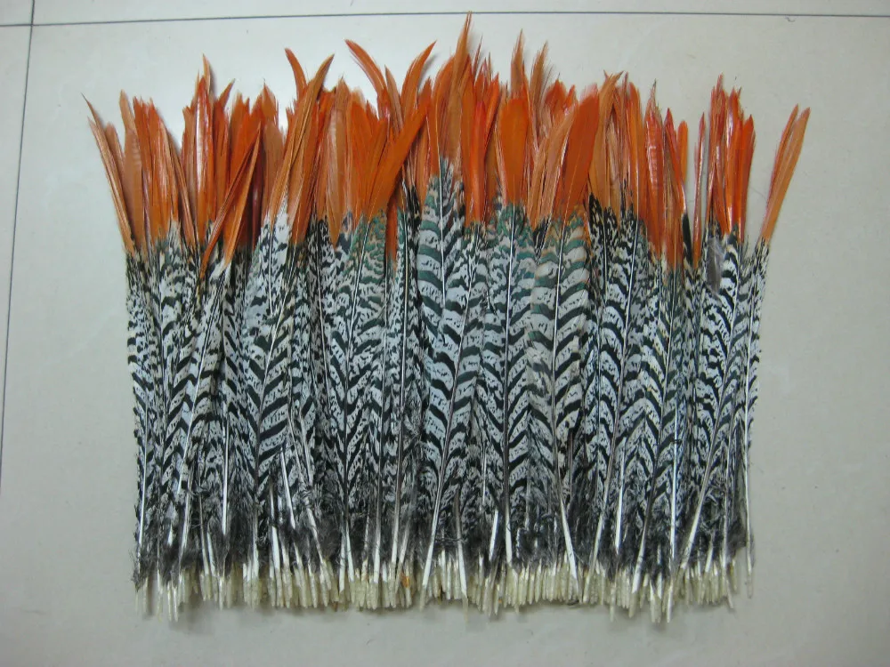 Buy Free shipping 500pcs Red tip Golden Pheasant