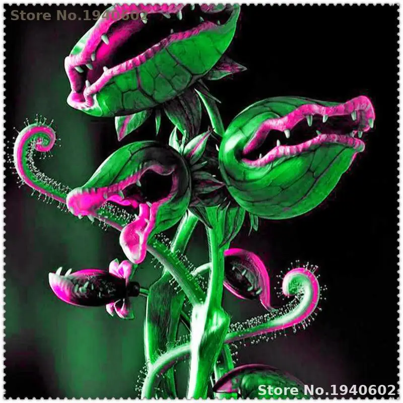 100 pcs Potted Insectivorous Plant bonsai Dionaea Muscipula Giant Clip Venus Flytrap bonsai For Home Garden Free Shipping 100 pcs Potted Insectivorous Plant bonsai Dionaea Muscipula Giant Clip Venus Flytrap bonsai For Home Garden Free Shipping