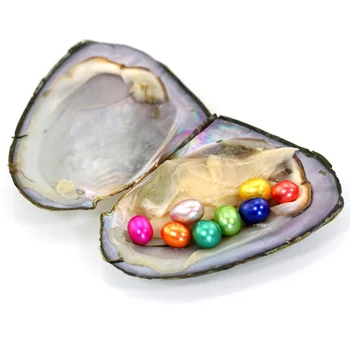 

5pcs/lot New Rice Pearls Mini Monster 8 Vibrant Colored Oval Pearls in Freshwater Oyster Shell Mix Color Pearl Mega Mussel FP431