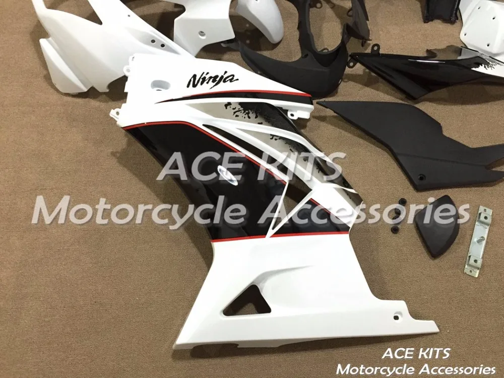 NINJA250 08-12 (122)