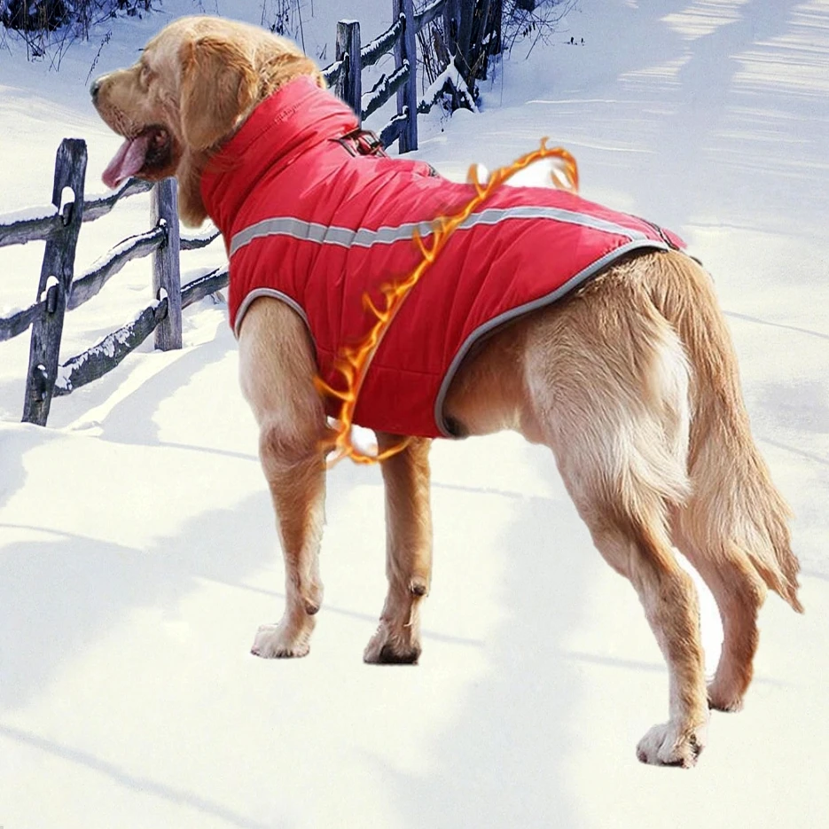large breed dog coats
