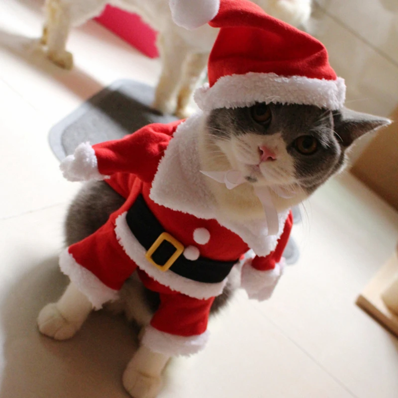 Costumes De Chat De Pere Noel Costume De Chat De Mpk Pere Noel Mignon Tenue De Pere Noel Rouge Pour Chat Manteau Costume De Noel Aliexpress