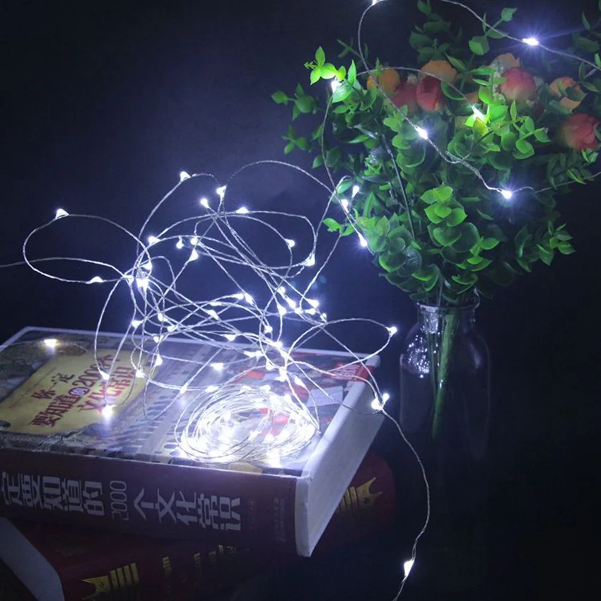 5M 10M 20M 30M 50M Silver Copper led string Lights For Indoor Outdoor Waterproof DC12V Fairy light holiday Christmas Garden deco 5M 10M 20M 30M 50M Silver Copper led string Lights For Indoor Outdoor Waterproof DC12V Fairy light holiday Christmas Garden deco