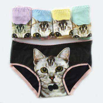

5 Pcs/lot Sexy Panties Underwear Women Cotton Briefs Tanga Cute Thong G-String For Women Underwear Calcinhas Transparent Panties