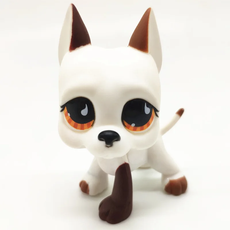 Pet Shop Toy Rare LPs Brown Shorthair Cat Great Dane Action Figure Collection - 41 Style Children's Playset Gift image 3