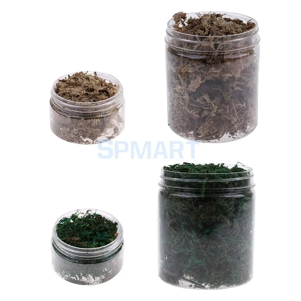 100ML/500ML Dry Grass Model Moss for Layout Terrain Vegetation Diorama Building Toy