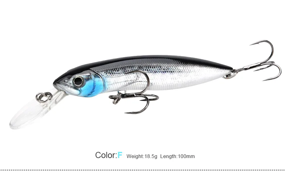 minnow-1_10