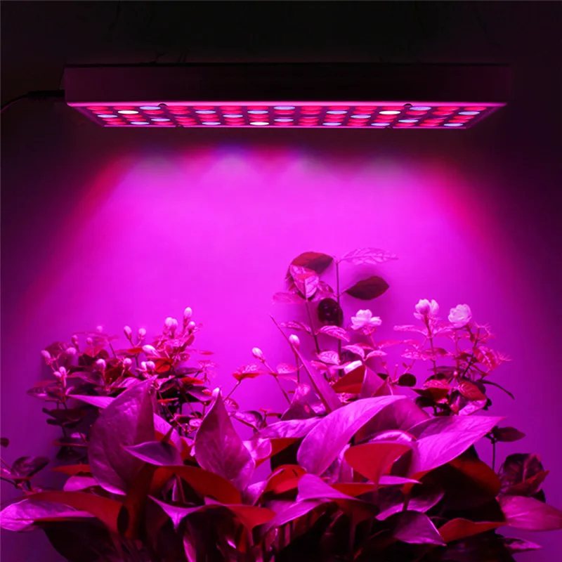 Full Spectrum 225 LED Plant Grow Light-12